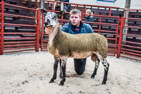 Longtown Ram Fair-20